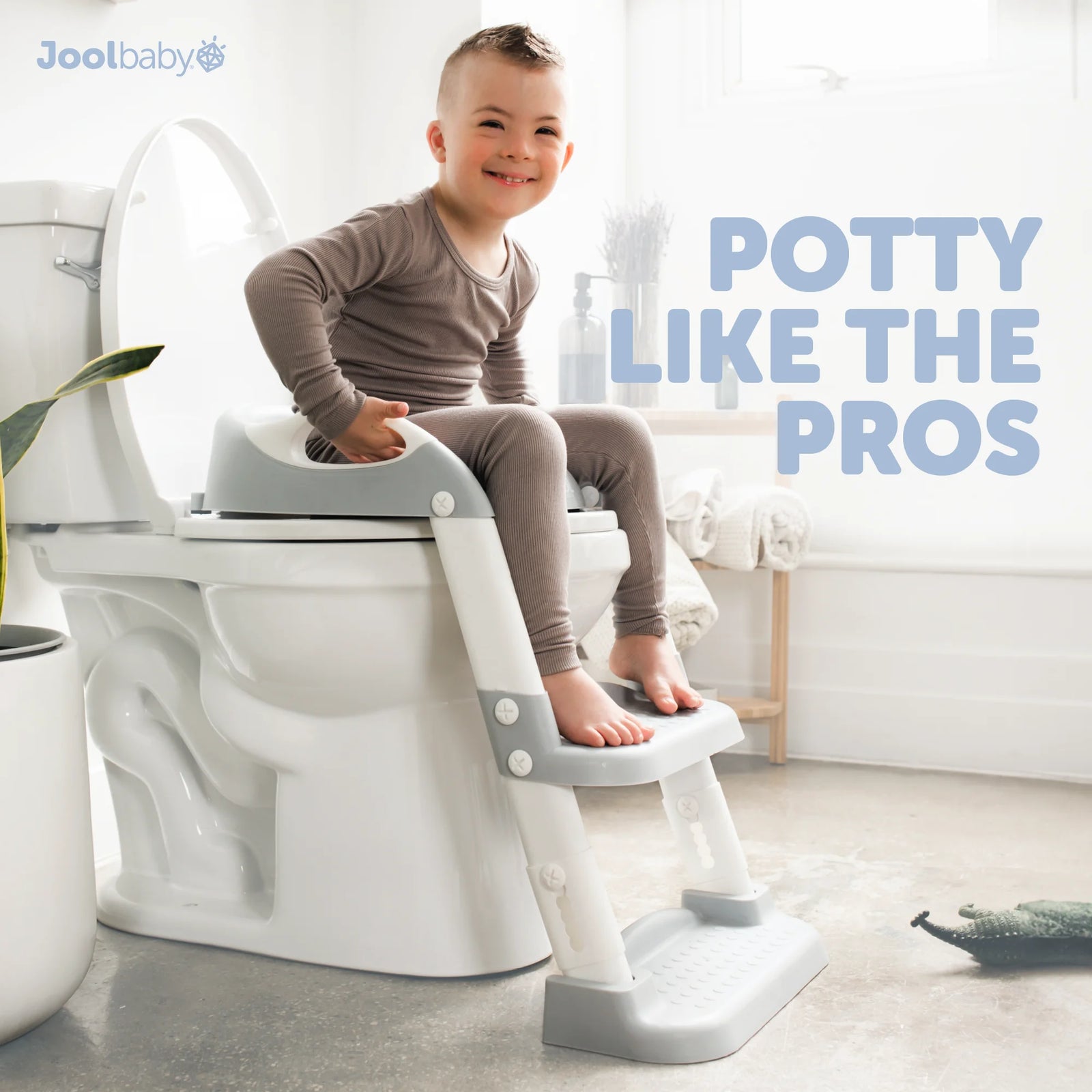 Potty Ladder